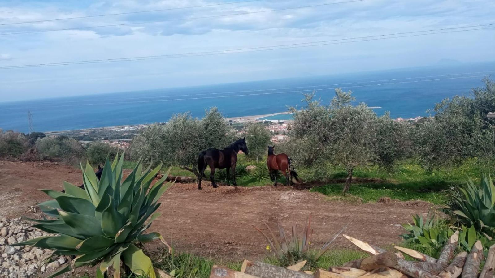 Agriturismo Serre SantʼAgata di Militello Екстериор снимка