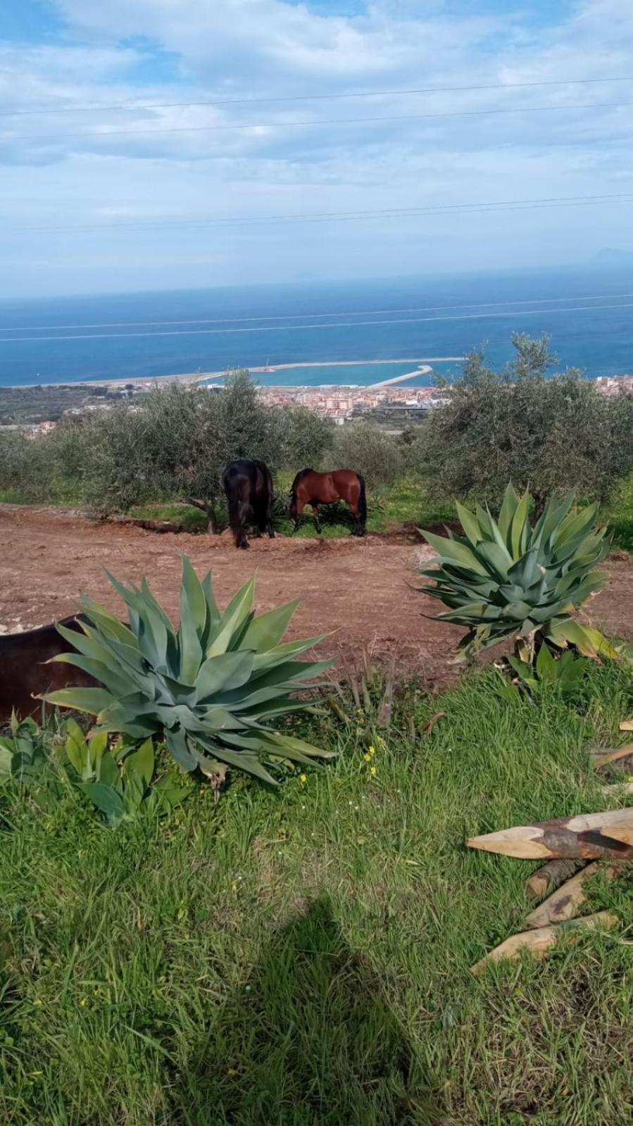 Agriturismo Serre SantʼAgata di Militello Екстериор снимка